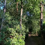 Bonte Specht: Tot Rust Komen In De Natuur! Semesterbostad *