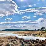 Semesterbostad Bonte Specht: Tot Rust Komen In De Natuur! *
