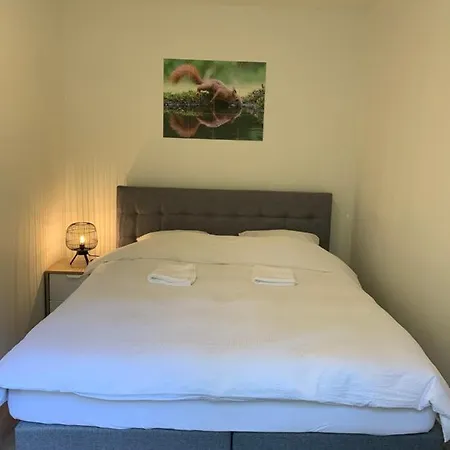 Bonte Specht: Tot Rust Komen In De Natuur! Casa de Férias