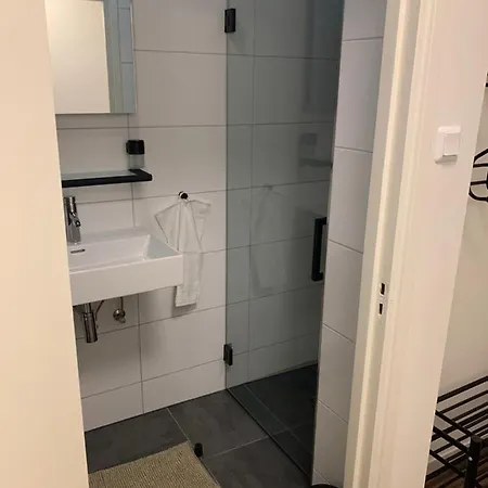 Bonte Specht: Tot Rust Komen In De Natuur! Otterlo