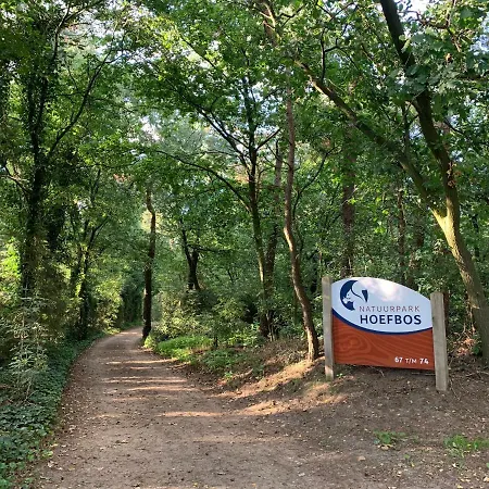 Casa de Férias Bonte Specht: Tot Rust Komen In De Natuur!