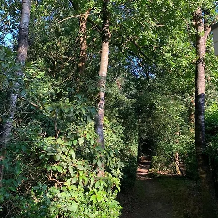 Bonte Specht: Tot Rust Komen In De Natuur! Ferienhaus *