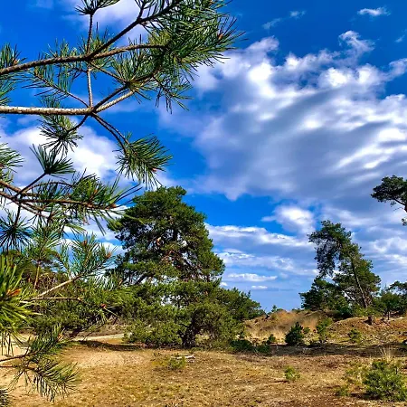 Bonte Specht: Tot Rust Komen In De Natuur! *