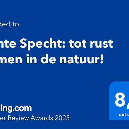 Bonte Specht: Tot Rust Komen In De Natuur! *