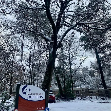 Bonte Specht: Tot Rust Komen In De Natuur! * Otterlo