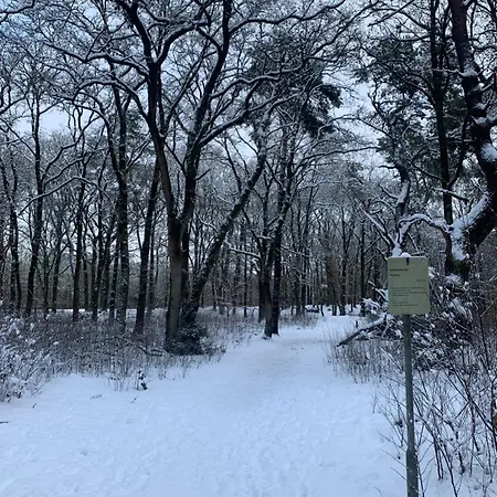 Semesterbostad Bonte Specht: Tot Rust Komen In De Natuur! Otterlo