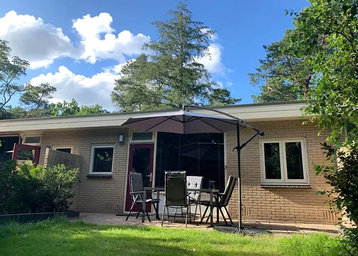 Bonte Specht: Tot Rust Komen In De Natuur! Otterlo