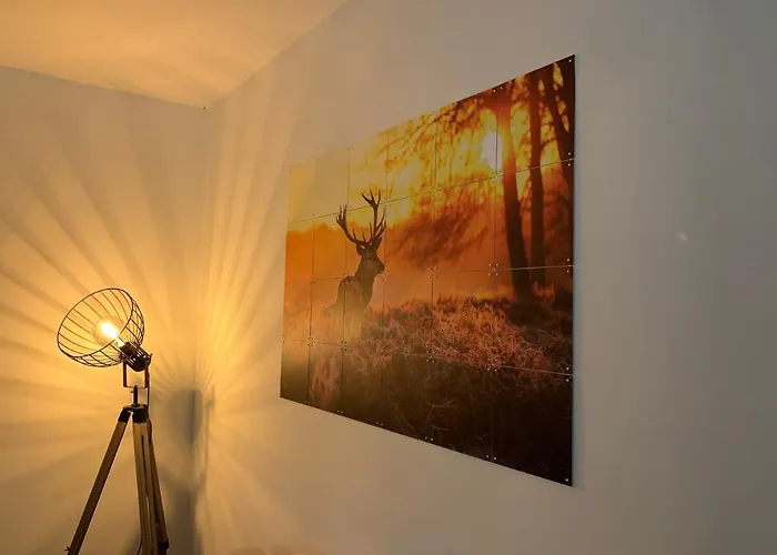 Bonte Specht: Tot Rust Komen In De Natuur! Otterlo