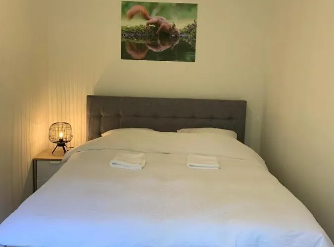 Bonte Specht: Tot Rust Komen In De Natuur! Semesterbostad