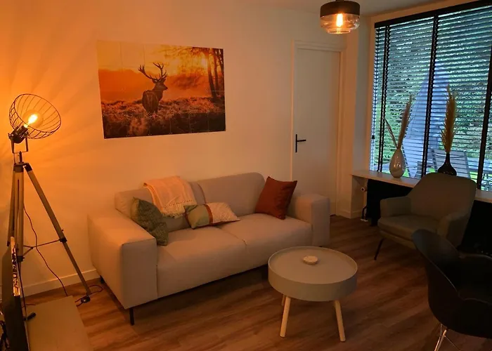 Bonte Specht: Tot Rust Komen In De Natuur! Otterlo