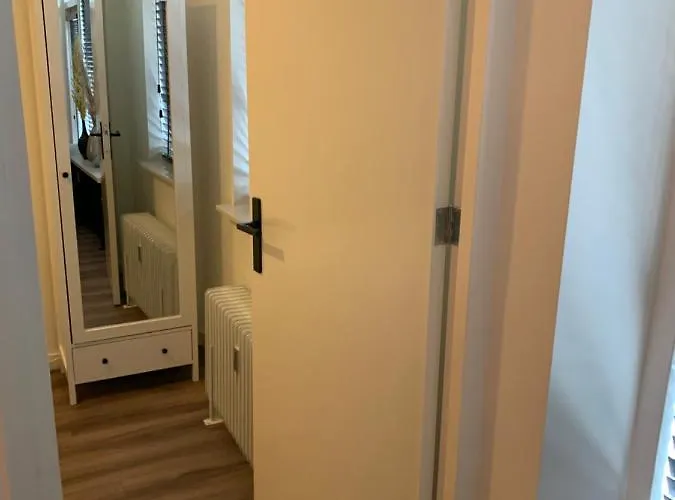 Bonte Specht: Tot Rust Komen In De Natuur! Semesterbostad Otterlo