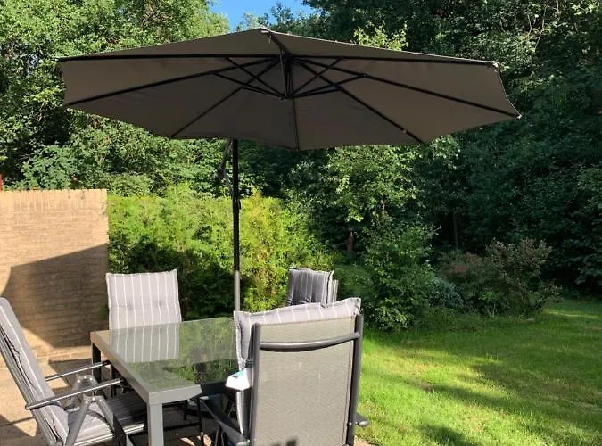 Bonte Specht: Tot Rust Komen In De Natuur! Semesterbostad