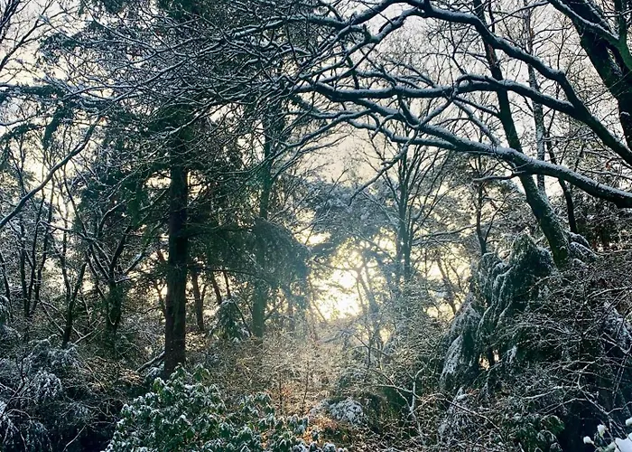 Bonte Specht: Tot Rust Komen In De Natuur! *
