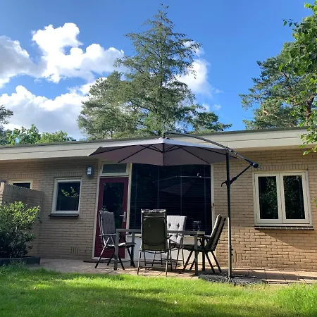 Bonte Specht: Tot Rust Komen In De Natuur! Otterlo