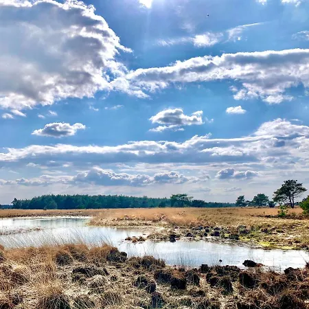 Dom wakacyjny Bonte Specht: Tot Rust Komen In De Natuur! *