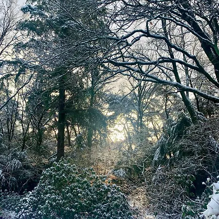 Bonte Specht: Tot Rust Komen In De Natuur! *