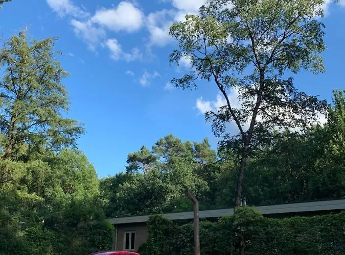 Bonte Specht: Tot Rust Komen In De Natuur! Otterlo