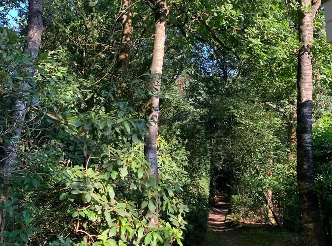 Bonte Specht: Tot Rust Komen In De Natuur! Hébergement de vacances *
