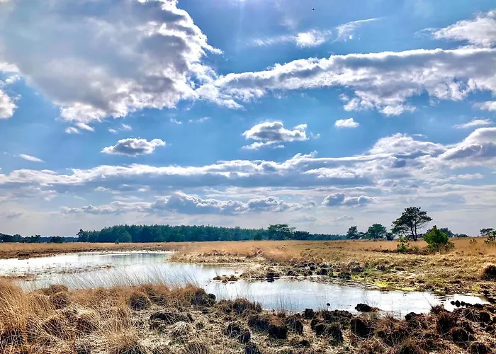 Hébergement de vacances Bonte Specht: Tot Rust Komen In De Natuur! *