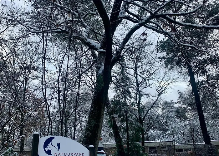 Bonte Specht: Tot Rust Komen In De Natuur! * Otterlo