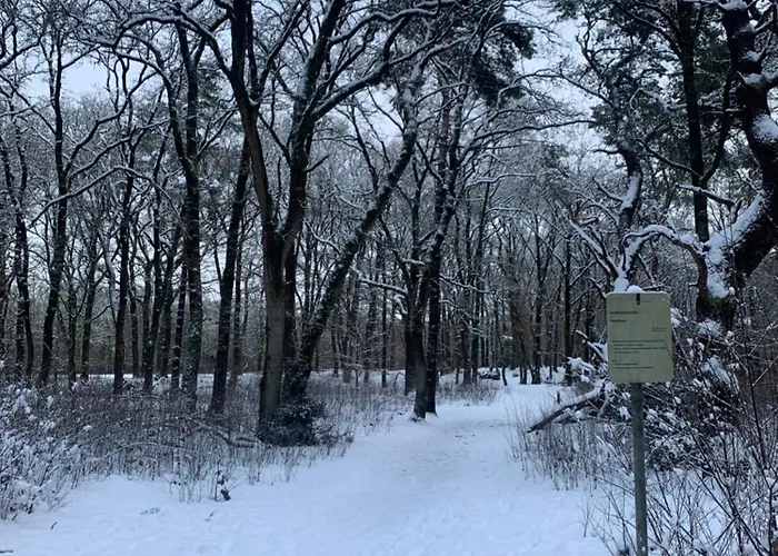 Hébergement de vacances Bonte Specht: Tot Rust Komen In De Natuur! Otterlo